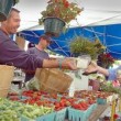 Farmers markets offer good organic options.