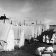 These are my family members, camped outside of my house to avoid my germs. (Just kidding, it's from National Geographic circle 1918 flu outbreak.)
