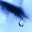 grief
