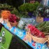 tricycle gardens