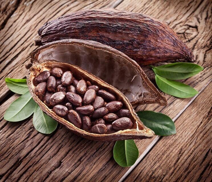 Cacao