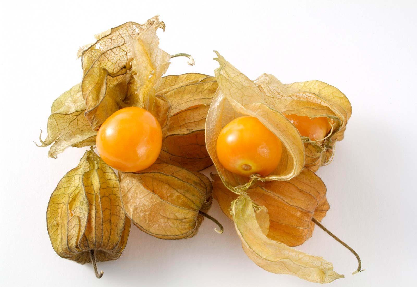 Cape_Gooseberry