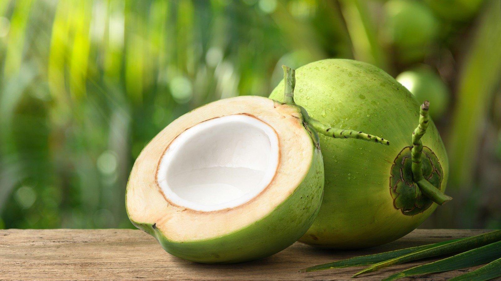 Coconut