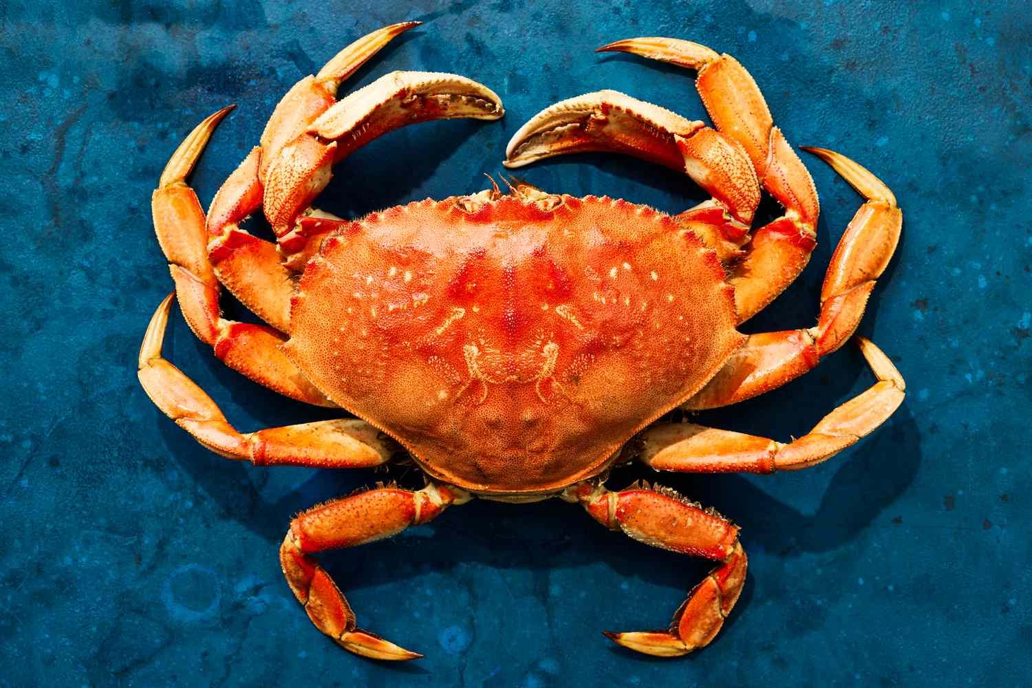 Crab