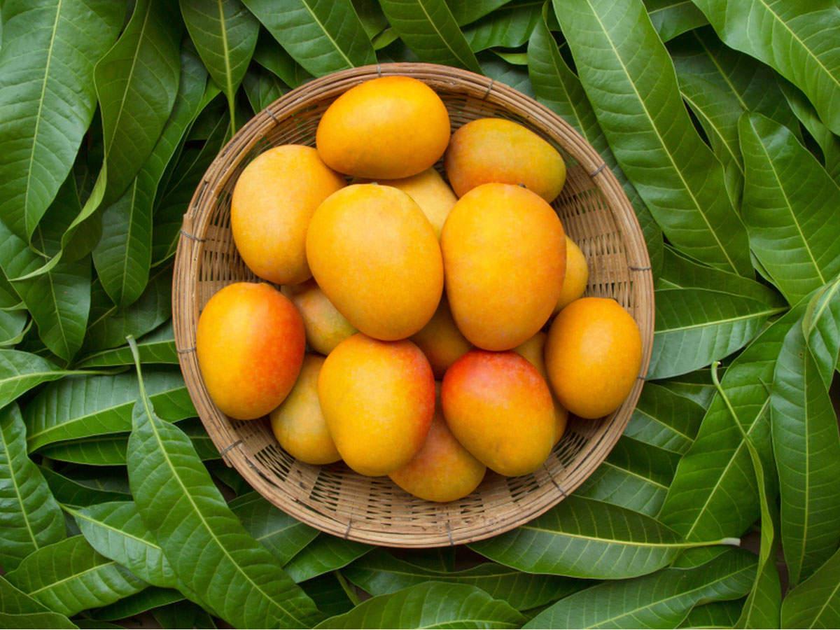 Indian_Mango