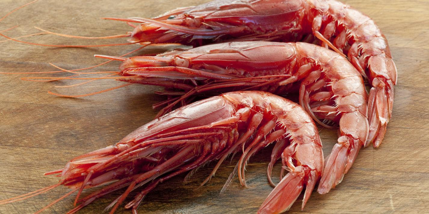 Prawns