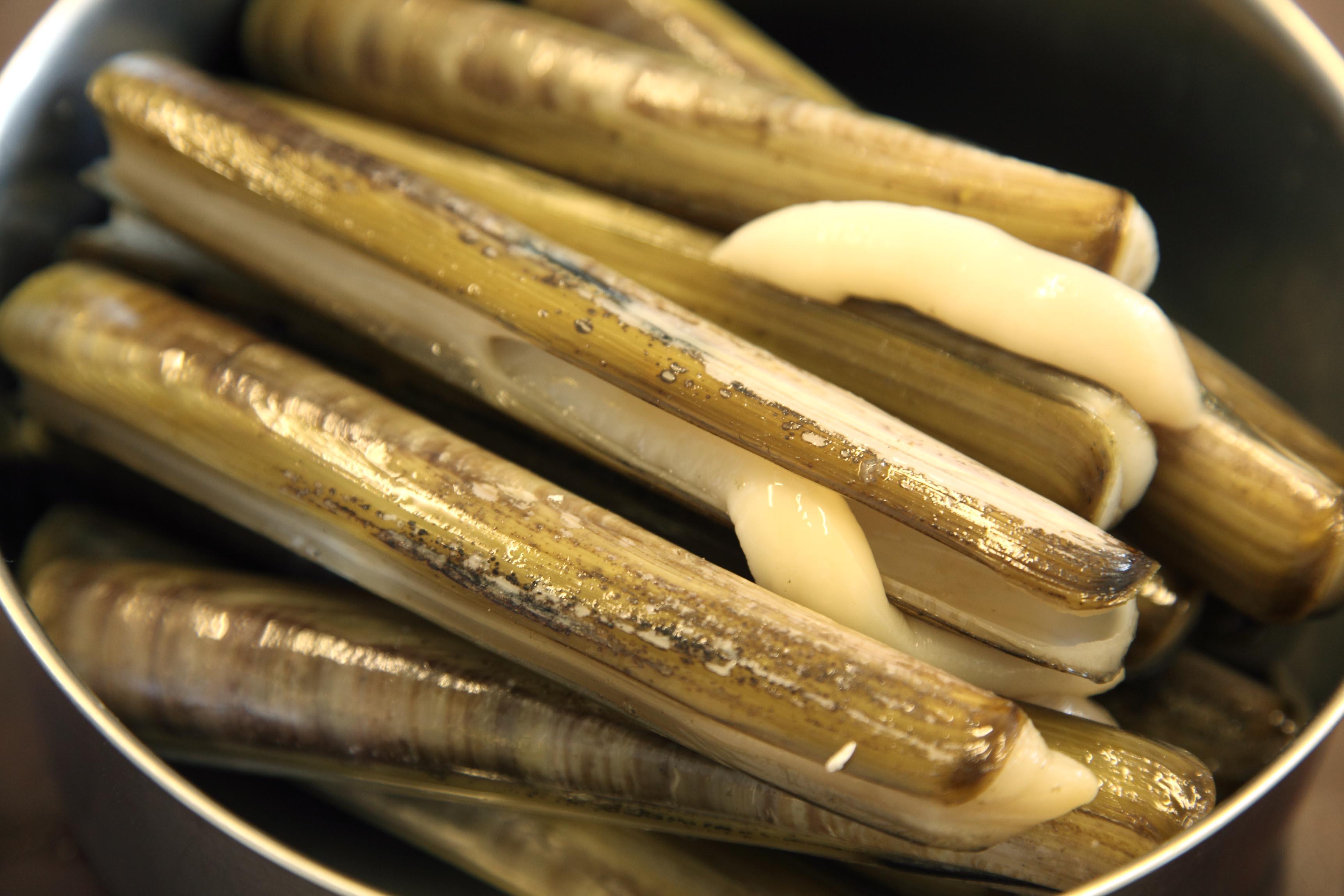 Razor_Clams