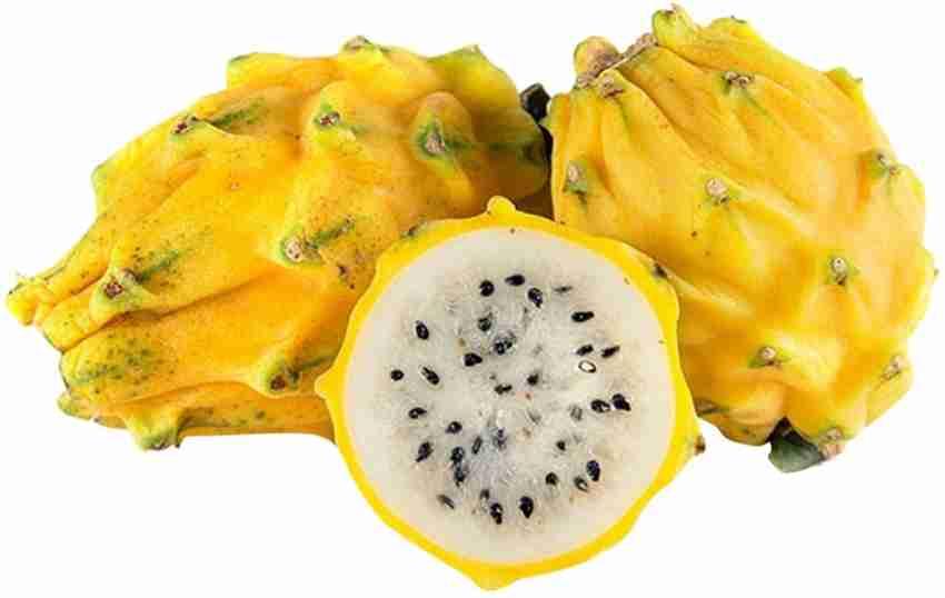 Yellow_Pitahaya