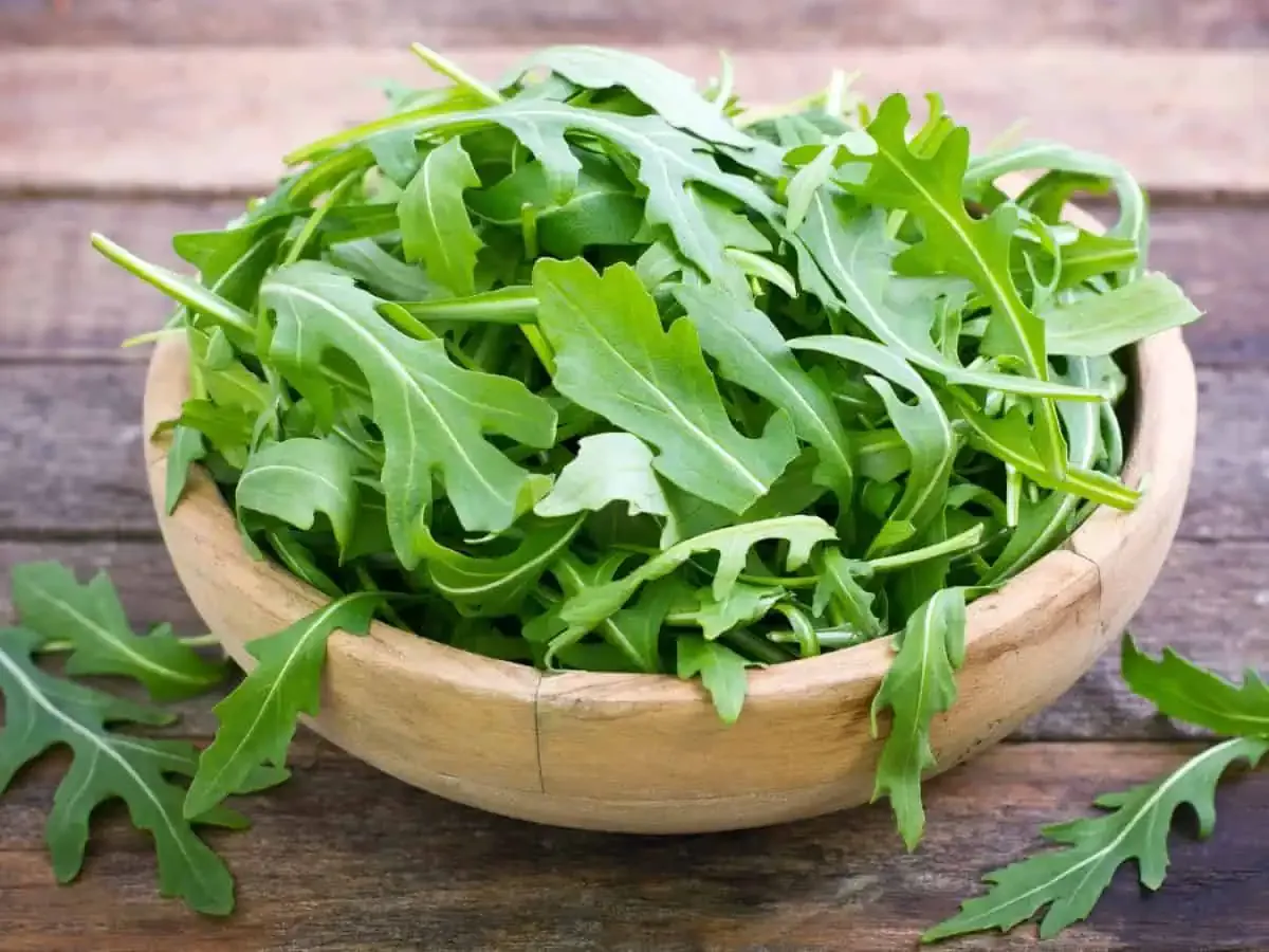 Arugula