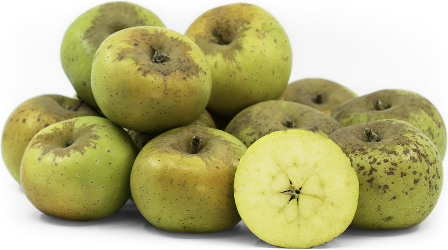 Ashmeads_Kernel_Apple