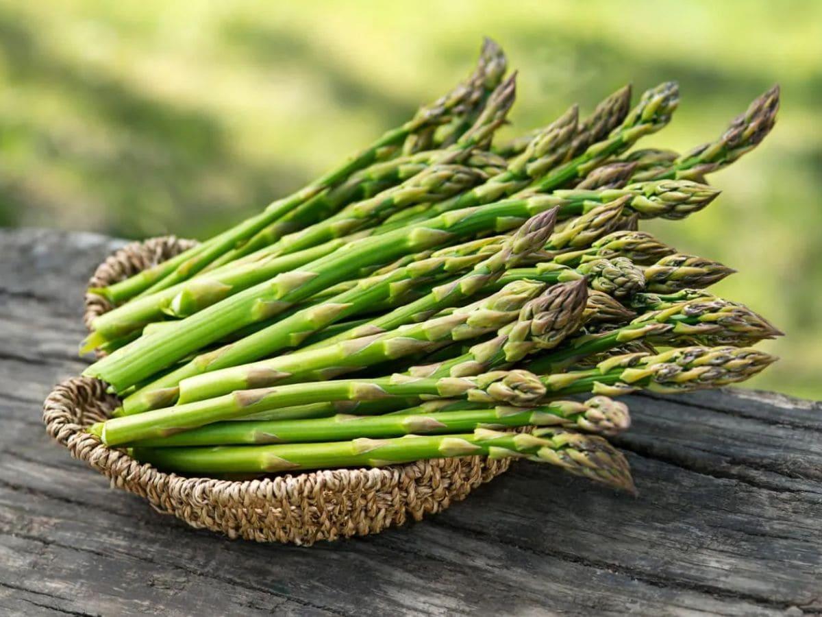 Asparagus