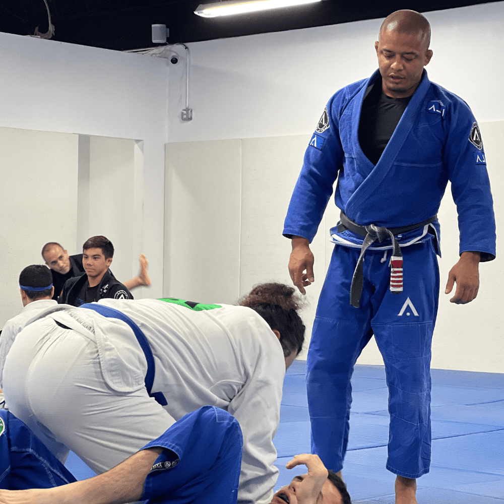 Brazilian_Jiu-Jitsu