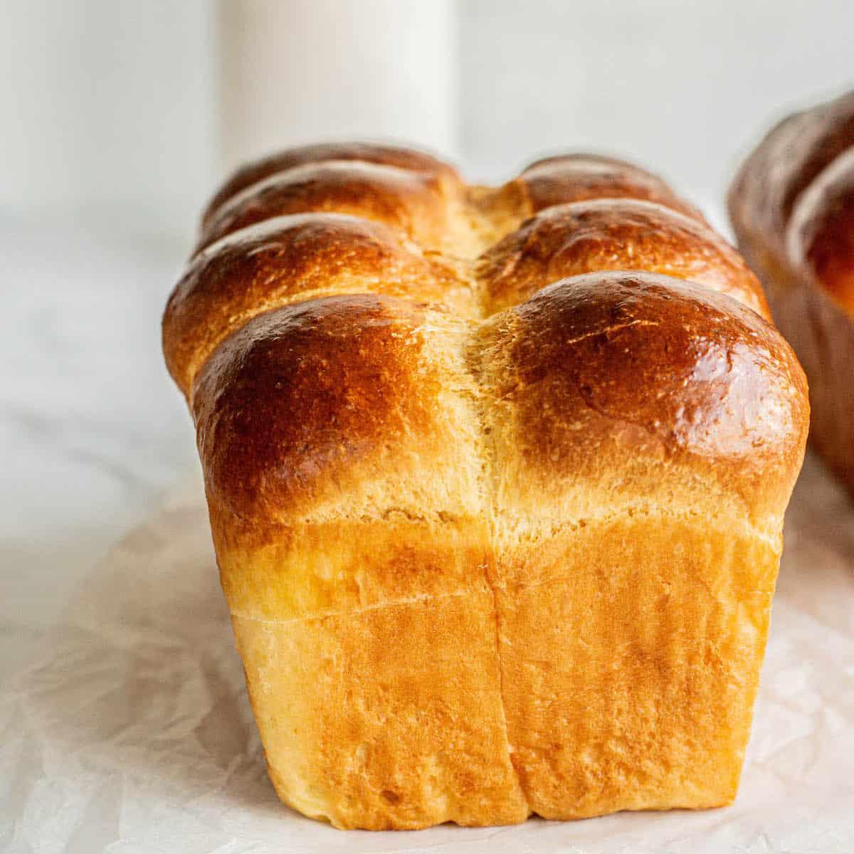 Brioche