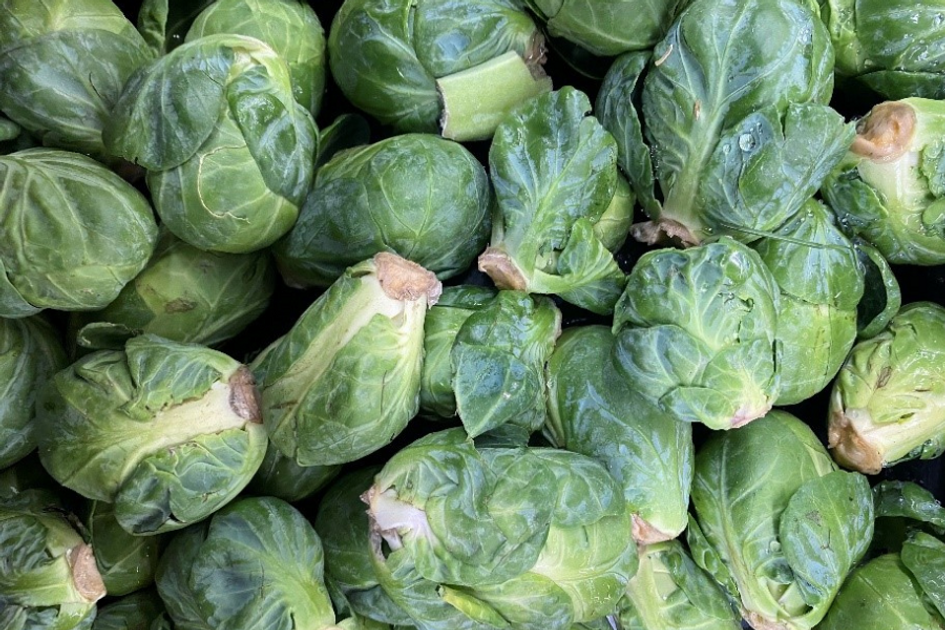 Brussels_Sprouts