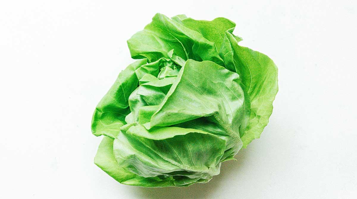 Butterhead_Lettuce