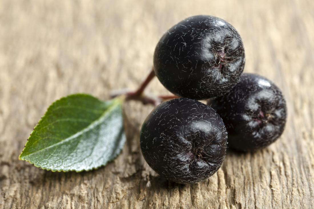 Chokeberry_Aronia