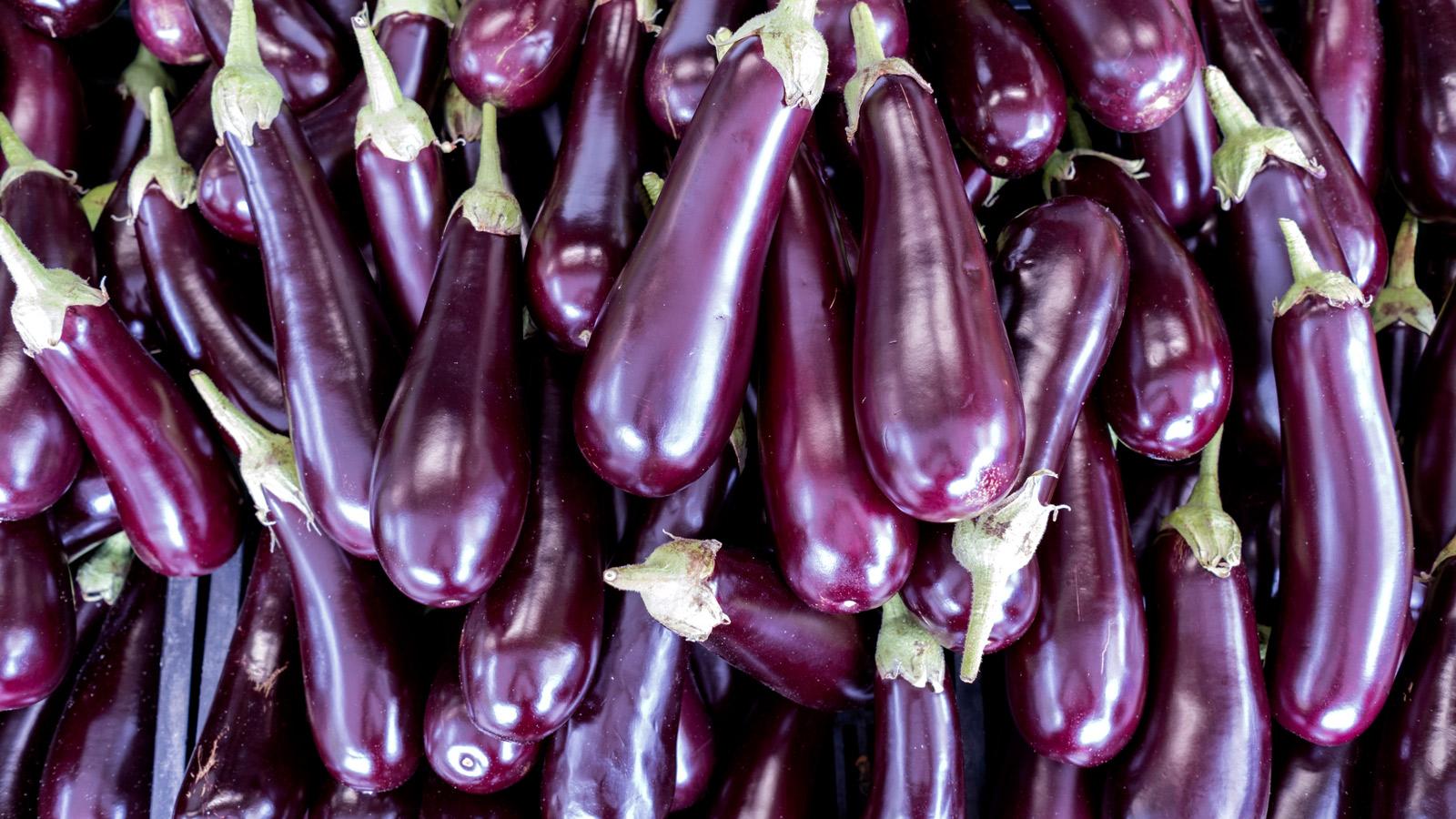 Eggplant_Purple_Aubergine