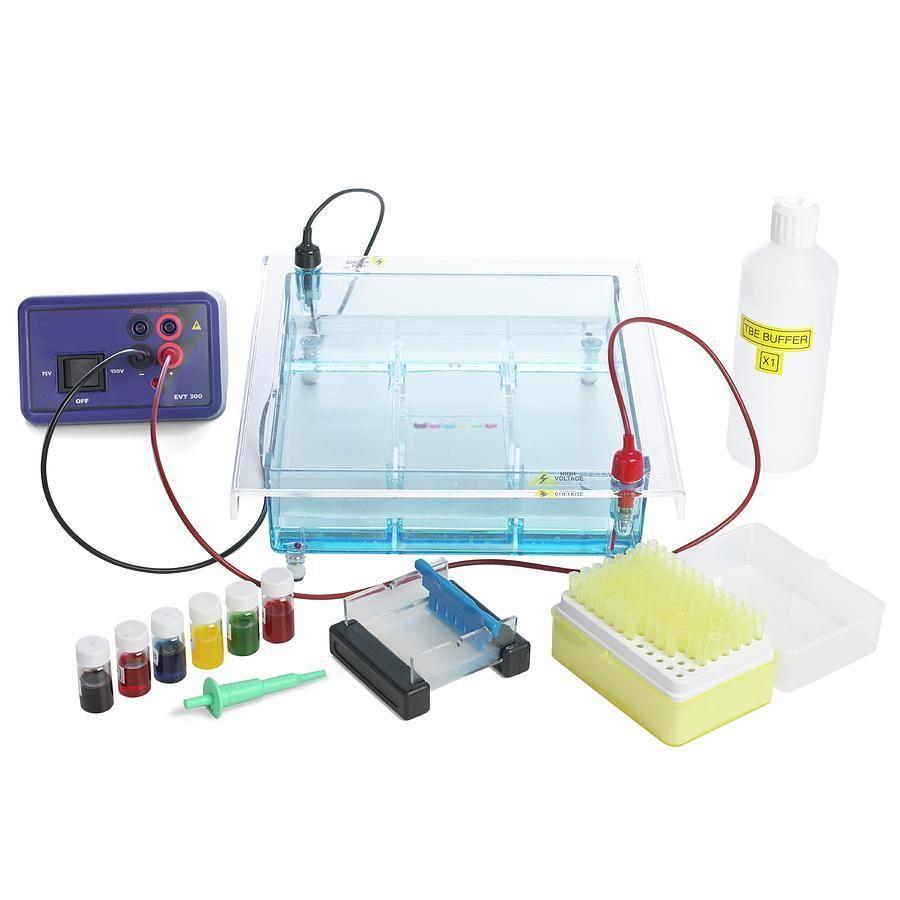 Electrophoresis_System