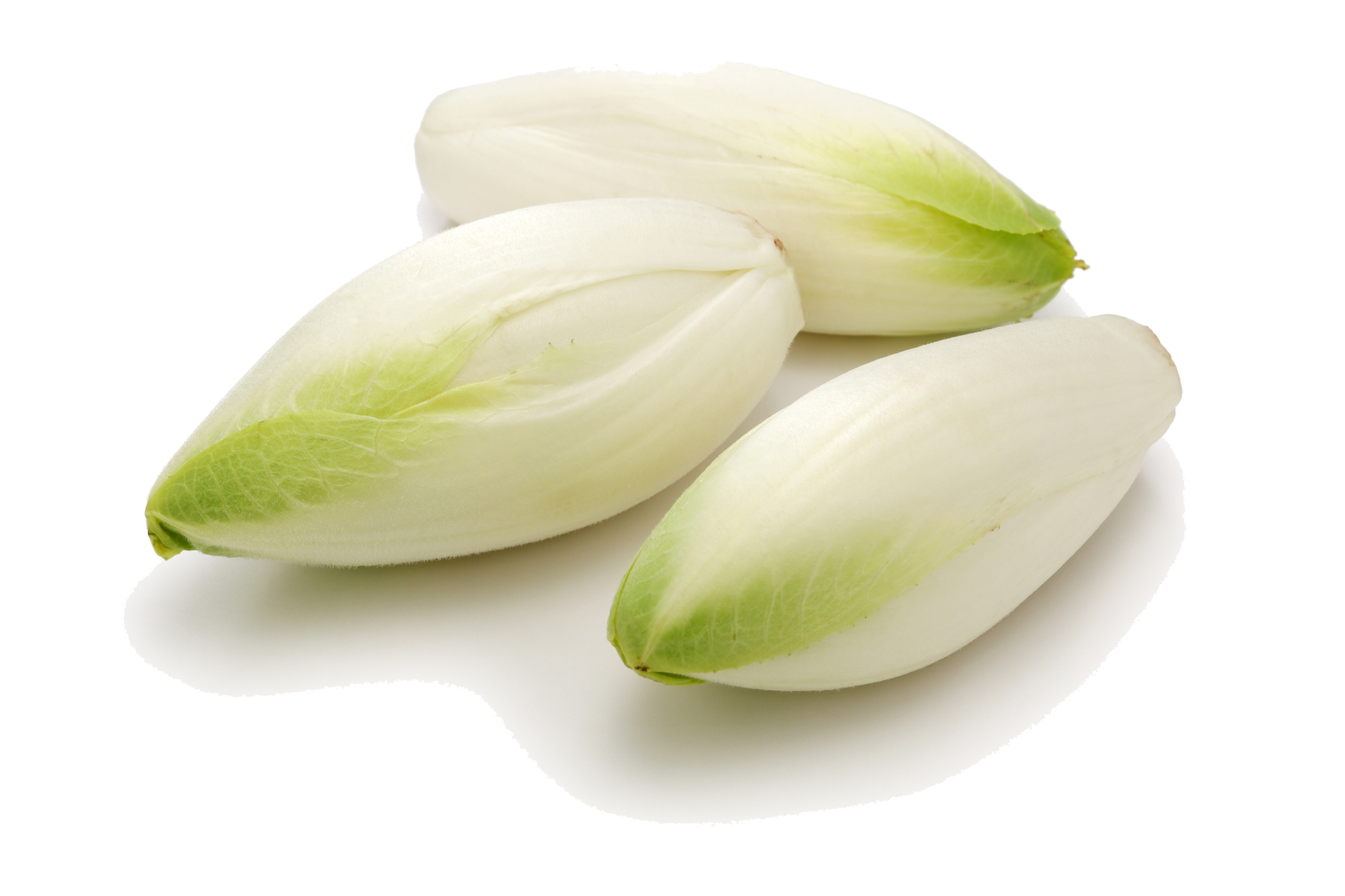 Endive