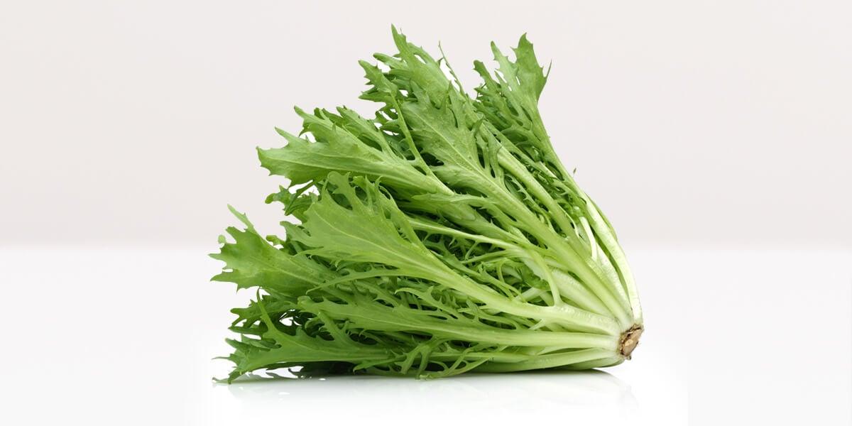 Escarole