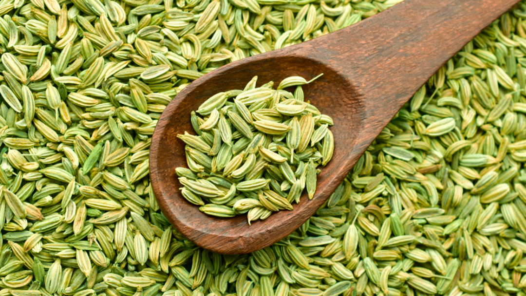 Fennel_Seeds