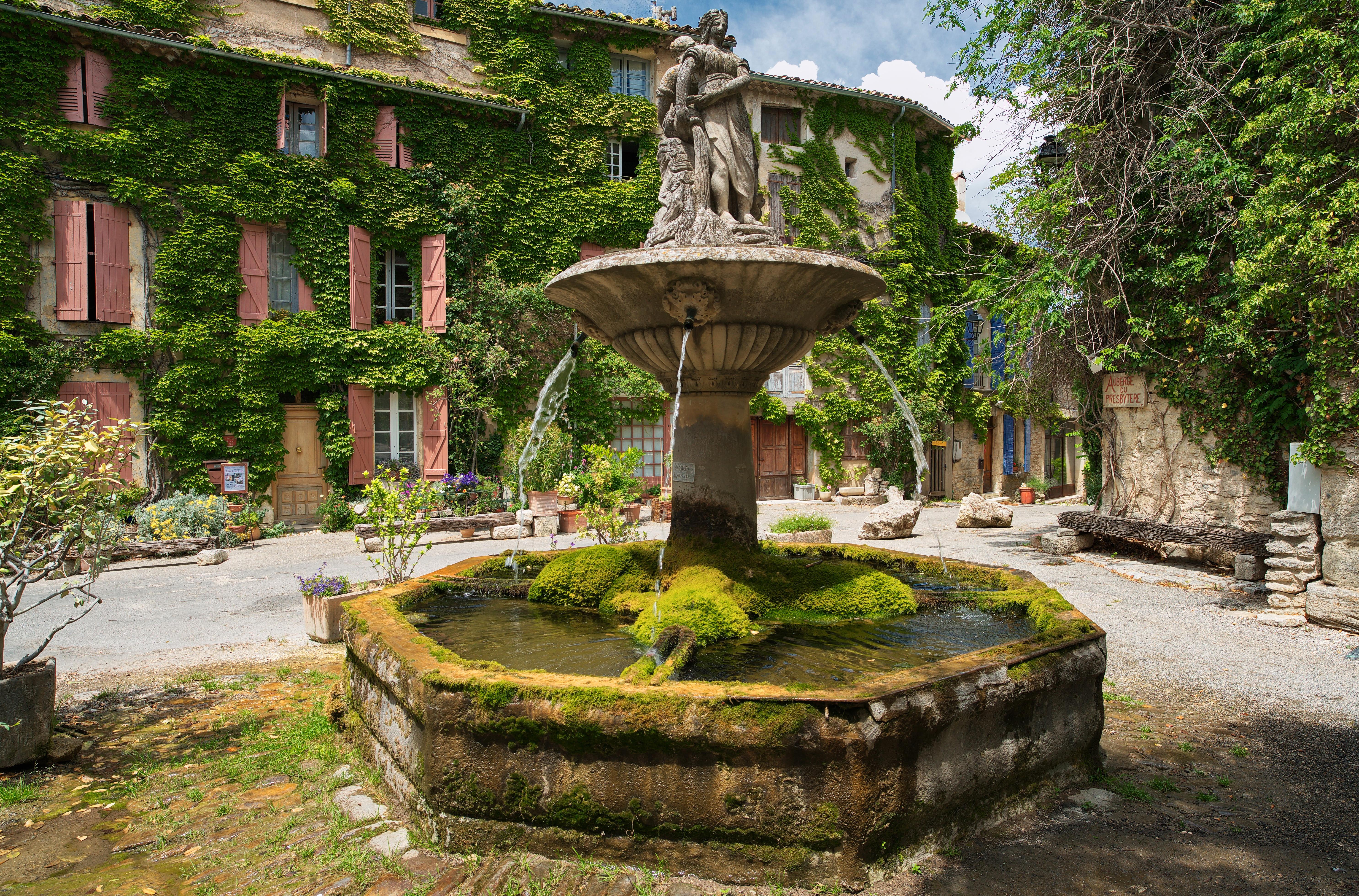 Fountain_Moss