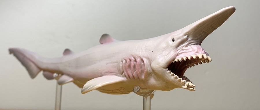 Goblin_Shark