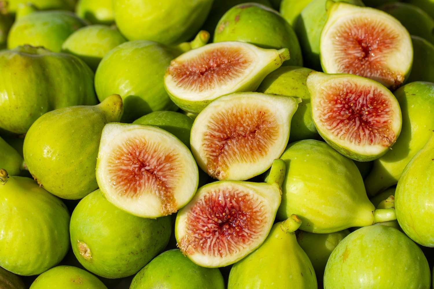 Green_Fig