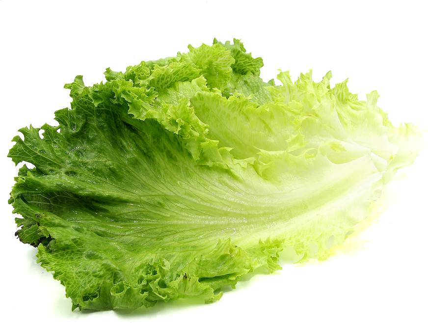 Green_Leaf_Lettuce