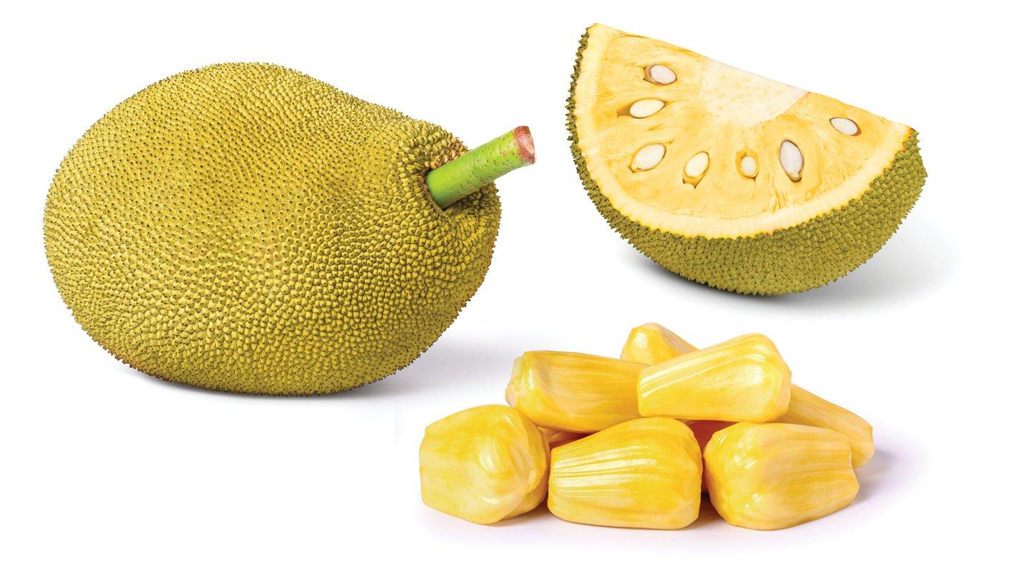 Jackfruit