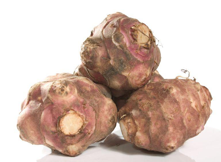 Jerusalem_Artichokes