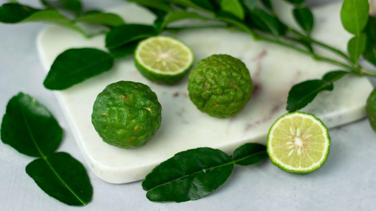 Kaffir_Lime