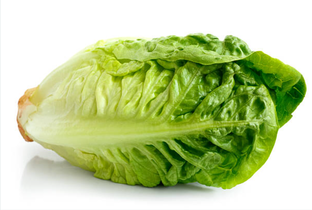 Little_Gem_Lettuce