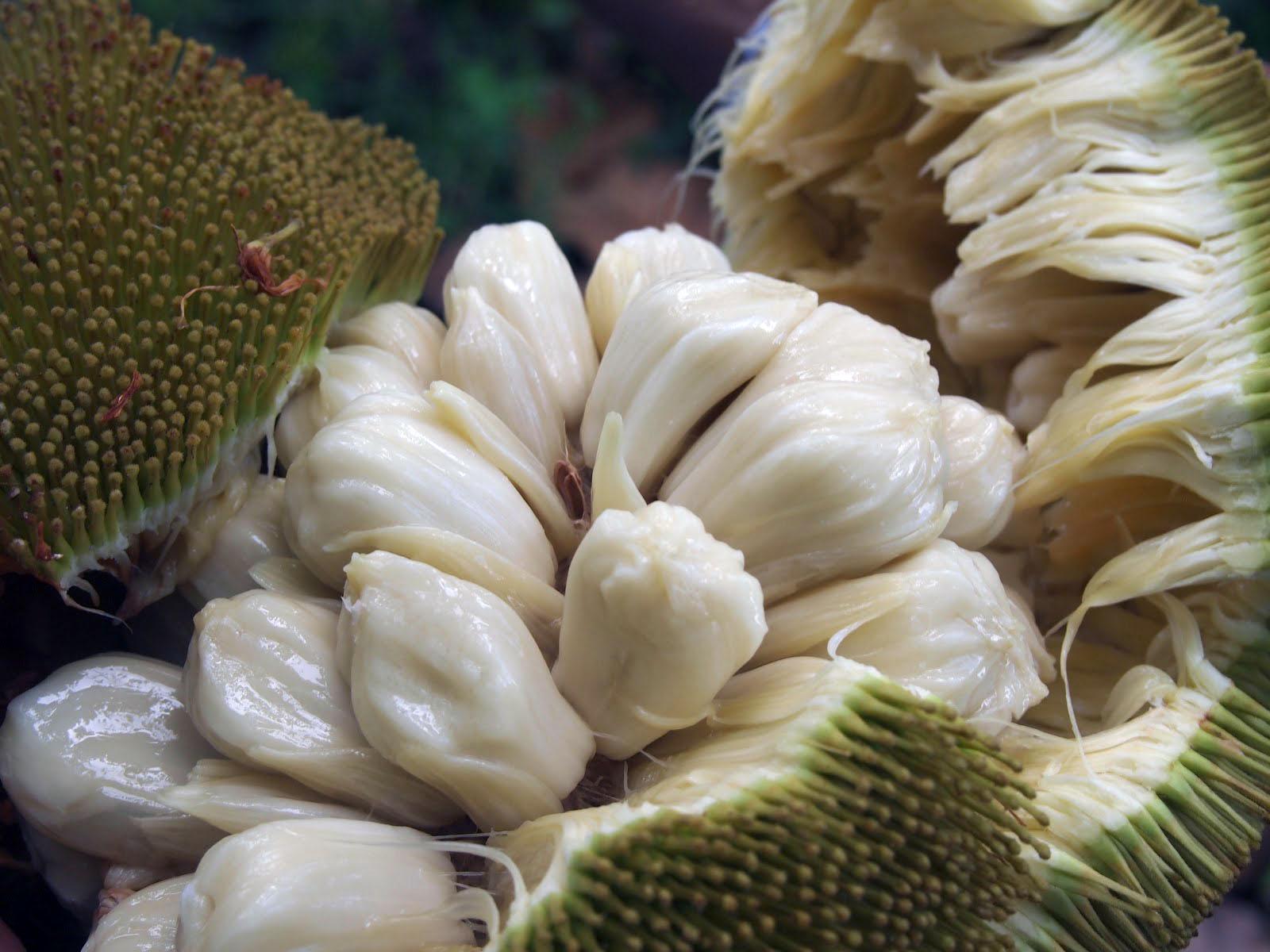 Marang