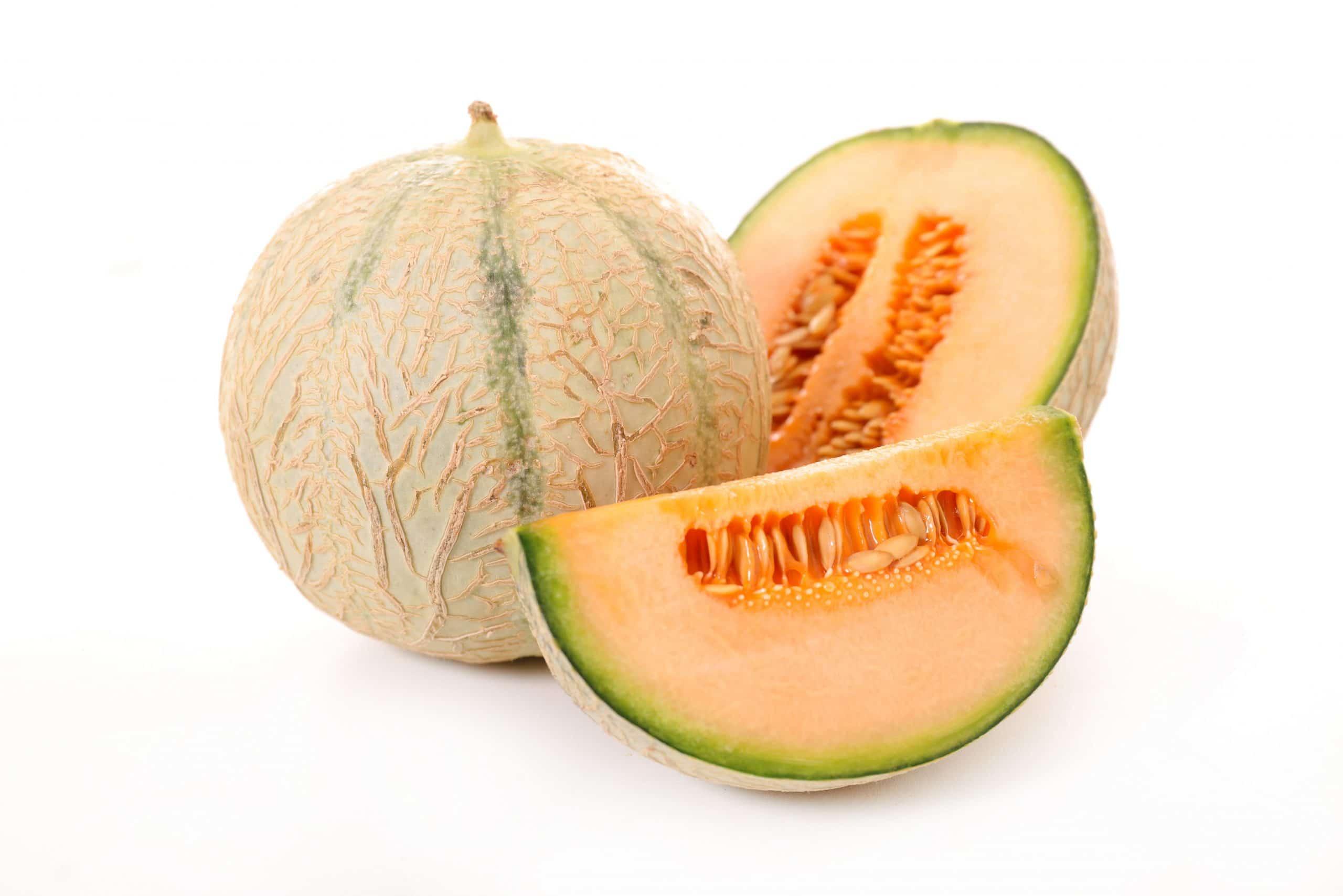 Muskmelon