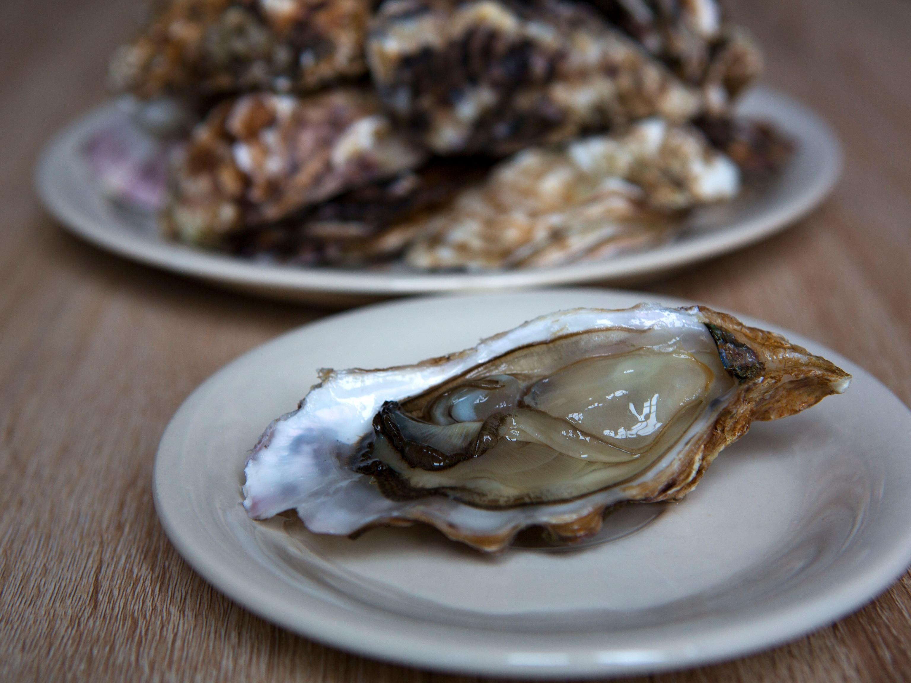 Oyster