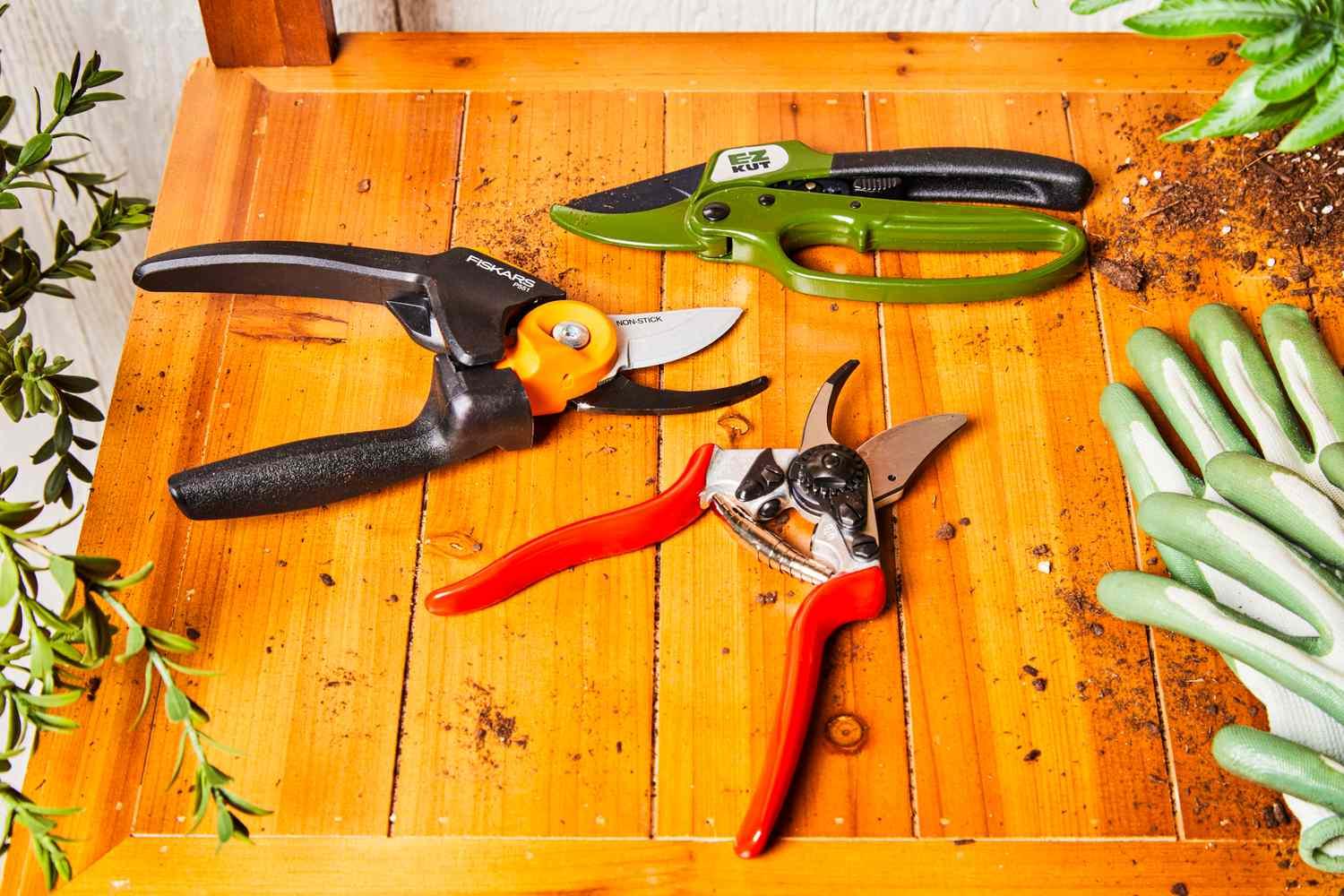 Pruning_Shears_Pruners