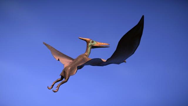 Pteranodon