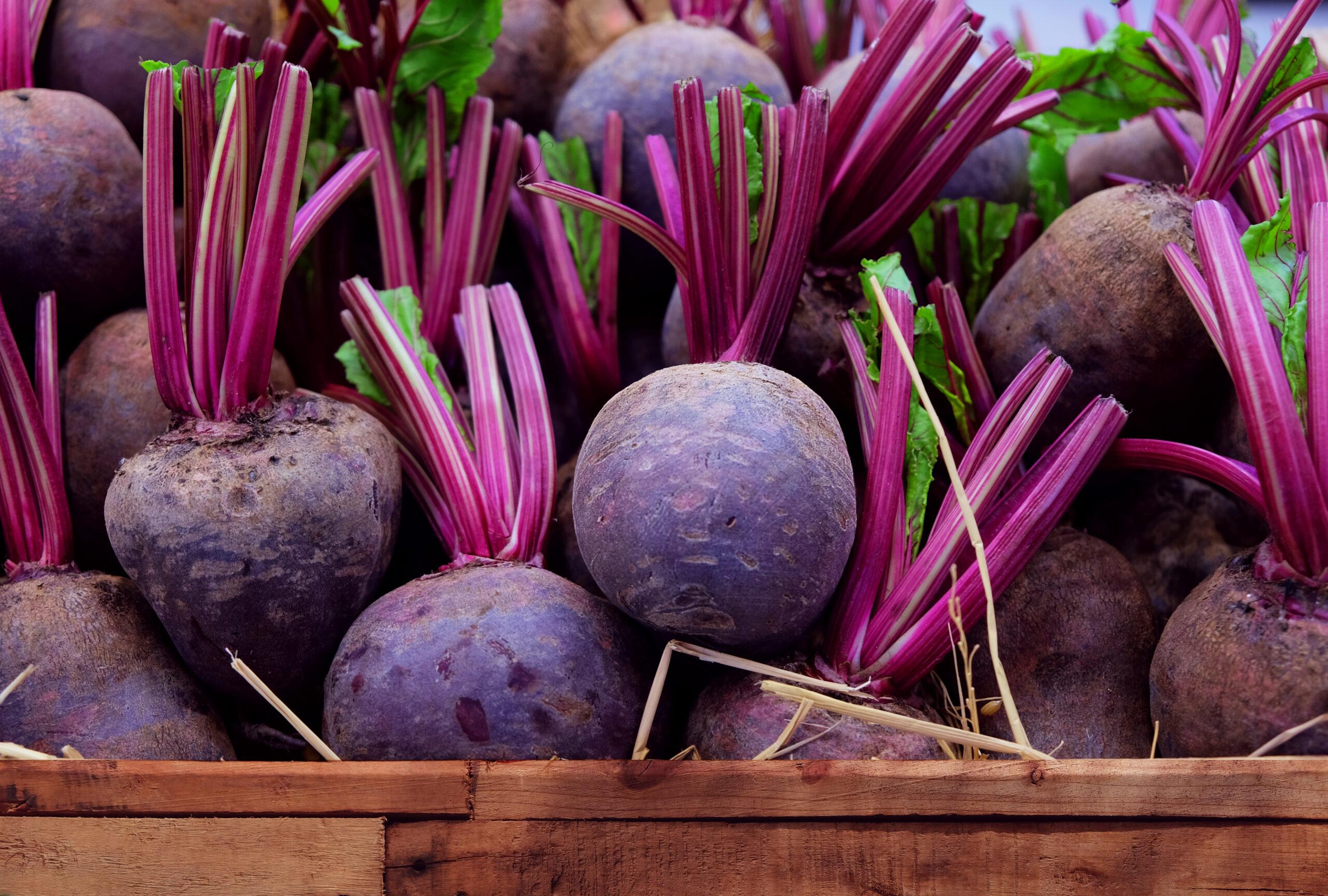 Purple_Beetroot