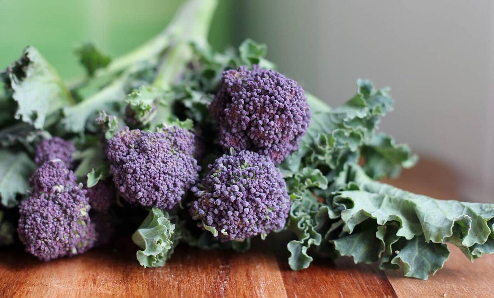 Purple_Broccoli