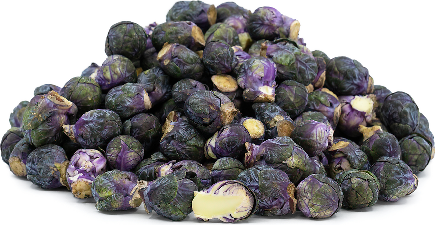 Purple_Brussels_Sprouts