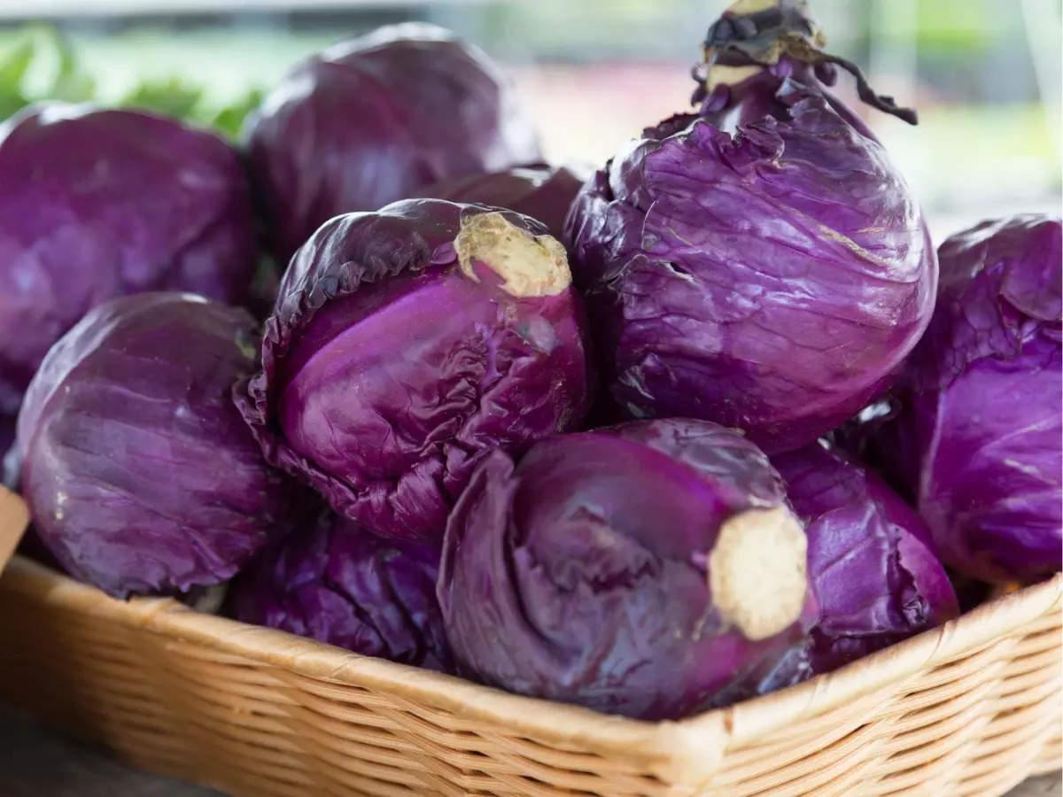 Purple_Cabbage