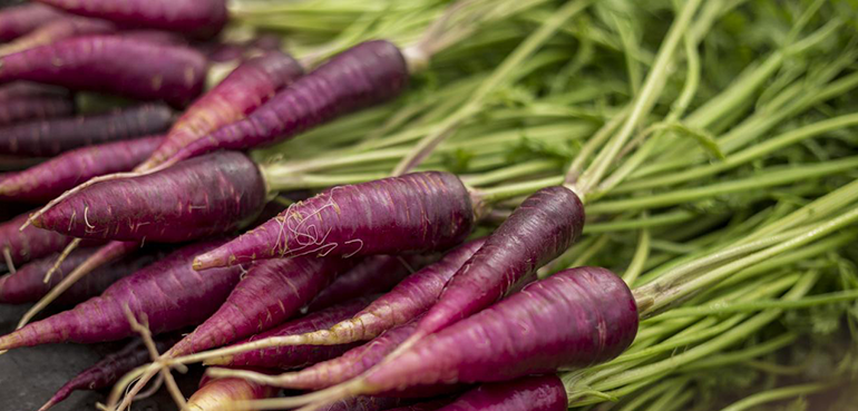 Purple_Carrot