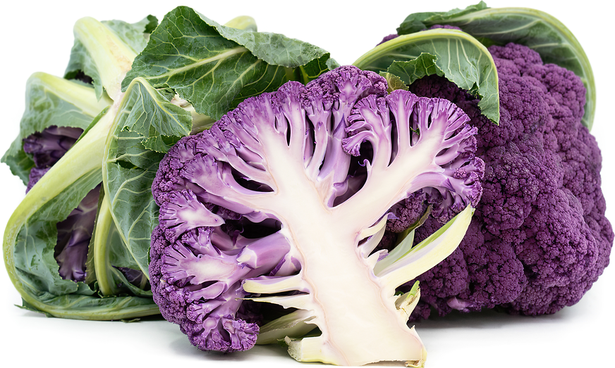 Purple_Cauliflower