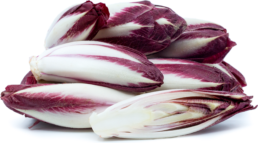 Purple_Endive