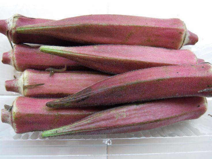 Purple_Okra