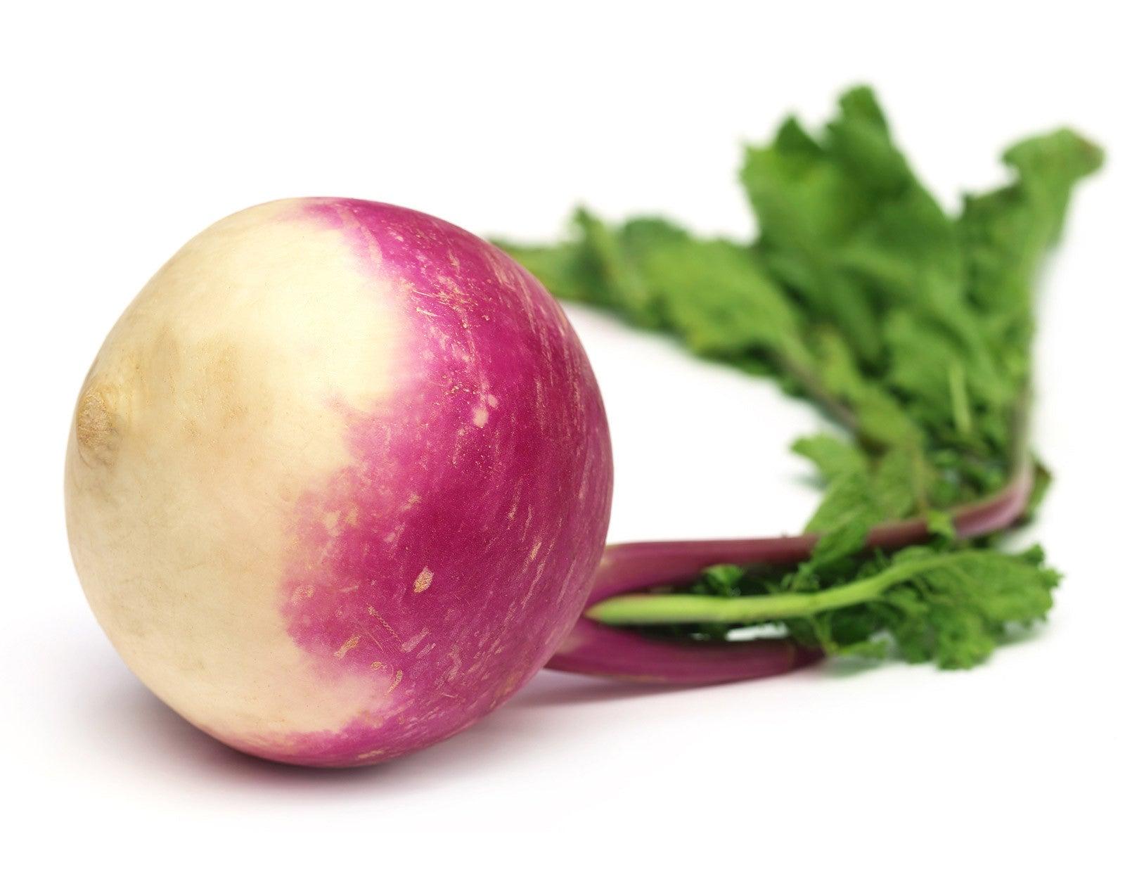 Purple_Turnip