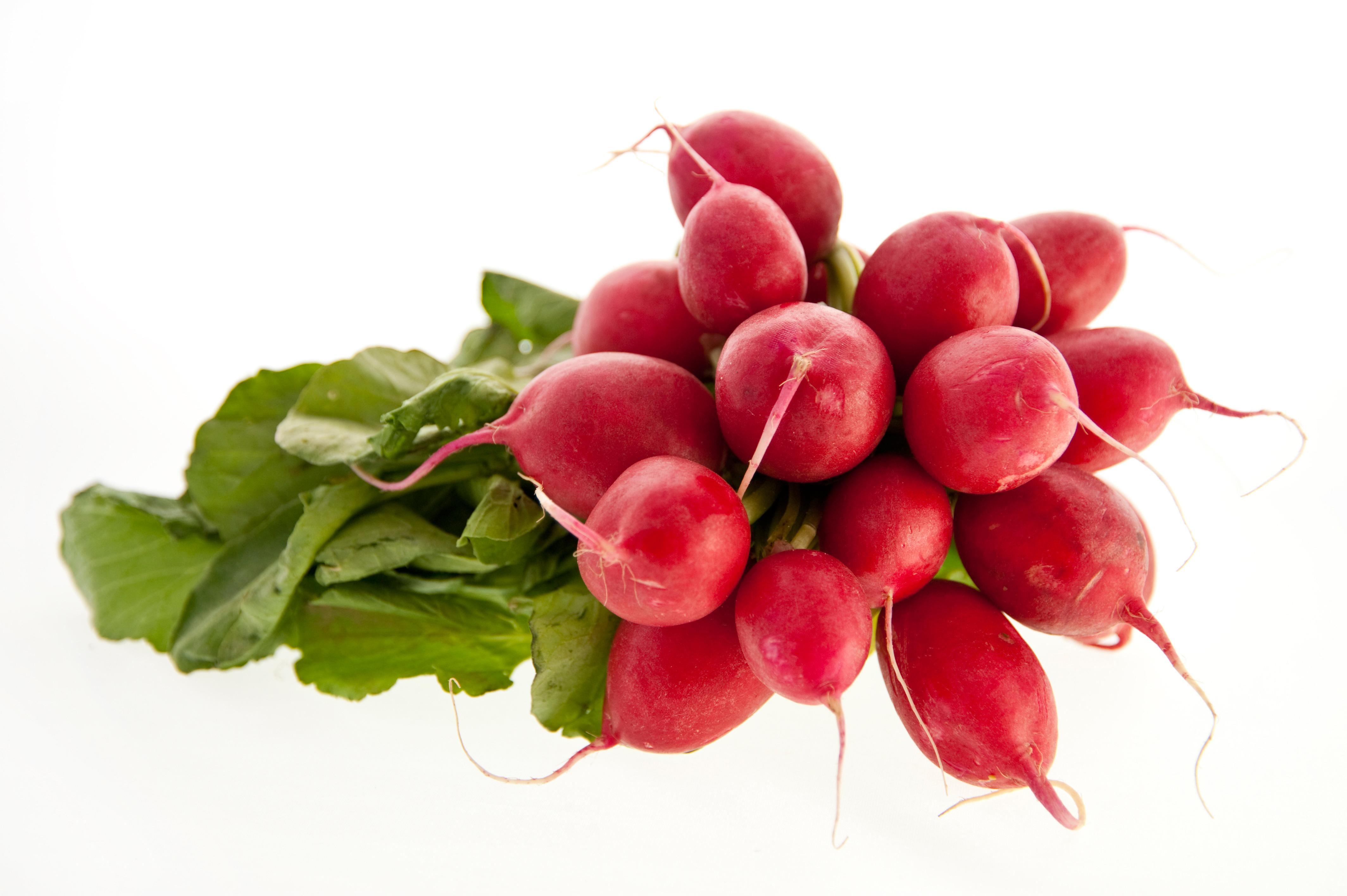 Radishes