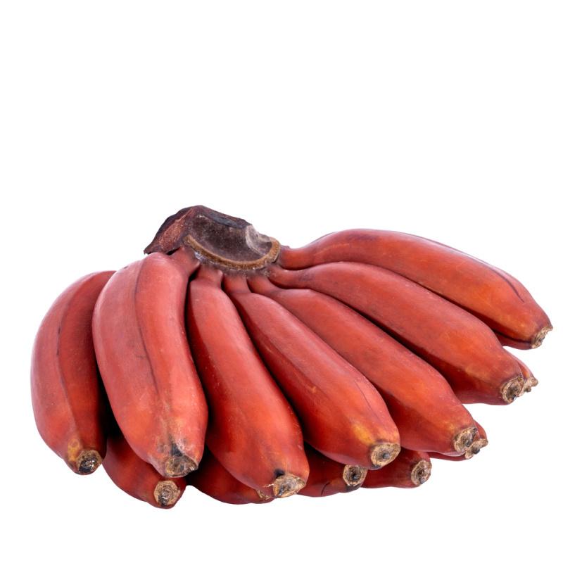 Red_Bananas_Musa_acuminata