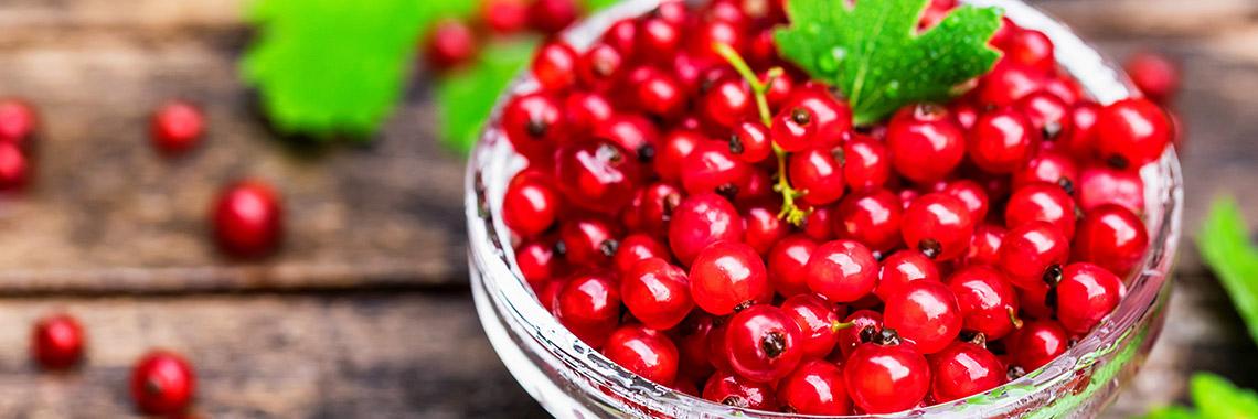 Red_Currant